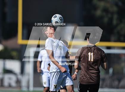 Thumbnail 2 in Crespi vs Ventura photogallery.