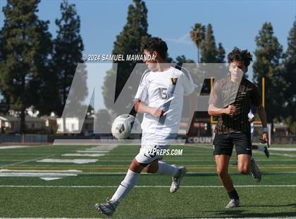 Thumbnail 3 in Crespi vs Ventura photogallery.