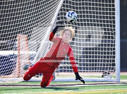 Thumbnail 1 in Crespi vs Ventura photogallery.