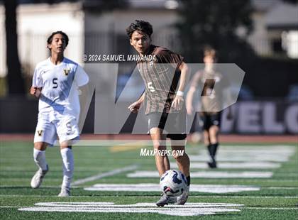 Thumbnail 3 in Crespi vs Ventura photogallery.