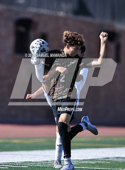 Thumbnail 2 in Crespi vs Ventura photogallery.