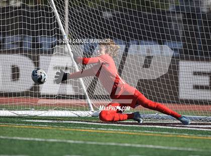 Thumbnail 3 in Crespi vs Ventura photogallery.
