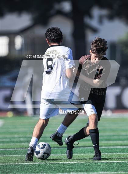 Thumbnail 3 in Crespi vs Ventura photogallery.