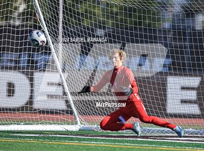 Thumbnail 1 in Crespi vs Ventura photogallery.