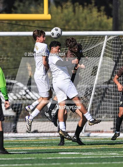 Thumbnail 1 in Crespi vs Ventura photogallery.