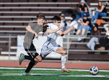 Thumbnail 3 in Crespi vs Ventura photogallery.