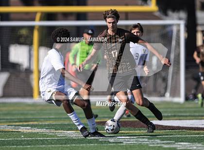 Thumbnail 1 in Crespi vs Ventura photogallery.