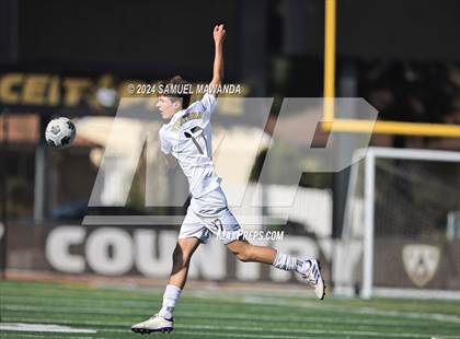 Thumbnail 3 in Crespi vs Ventura photogallery.