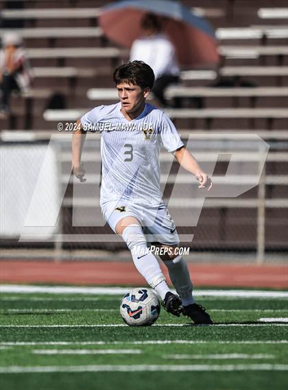 Thumbnail 2 in Crespi vs Ventura photogallery.