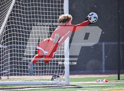 Thumbnail 1 in Crespi vs Ventura photogallery.
