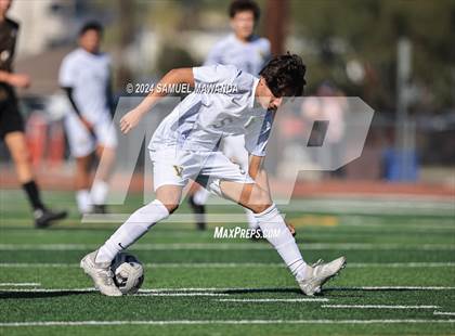Thumbnail 3 in Crespi vs Ventura photogallery.