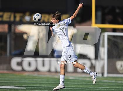 Thumbnail 2 in Crespi vs Ventura photogallery.