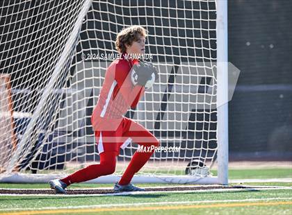 Thumbnail 1 in Crespi vs Ventura photogallery.