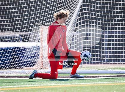 Thumbnail 3 in Crespi vs Ventura photogallery.