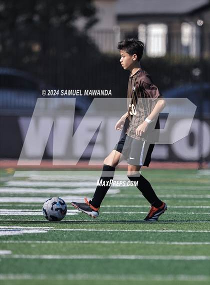 Thumbnail 1 in Crespi vs Ventura photogallery.