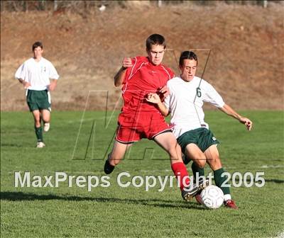 null - Photo 41