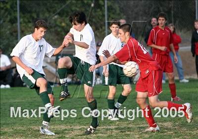 null - Photo 11