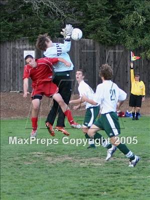 null - Photo 11
