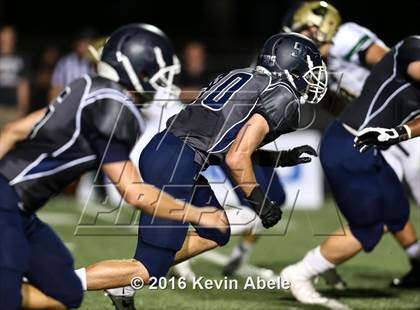 Thumbnail 2 in Basha @ Pinnacle photogallery.