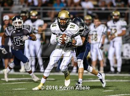 Thumbnail 1 in Basha @ Pinnacle photogallery.
