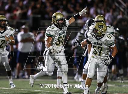 Thumbnail 1 in Basha @ Pinnacle photogallery.