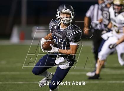 Thumbnail 3 in Basha @ Pinnacle photogallery.