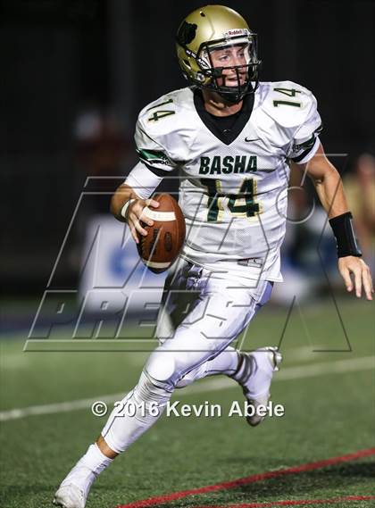 Thumbnail 2 in Basha @ Pinnacle photogallery.