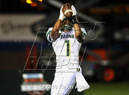 Thumbnail 2 in Basha @ Pinnacle photogallery.