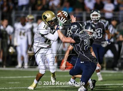 Thumbnail 2 in Basha @ Pinnacle photogallery.