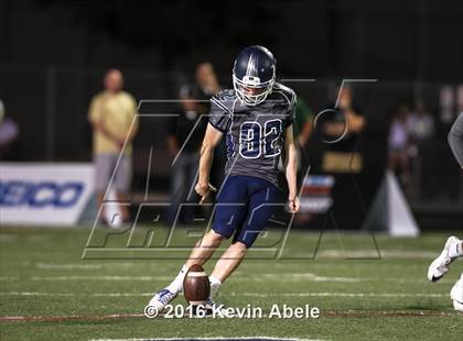 Thumbnail 2 in Basha @ Pinnacle photogallery.