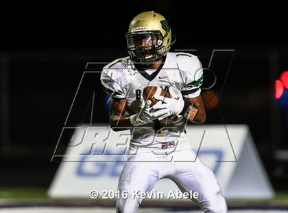 Thumbnail 1 in Basha @ Pinnacle photogallery.
