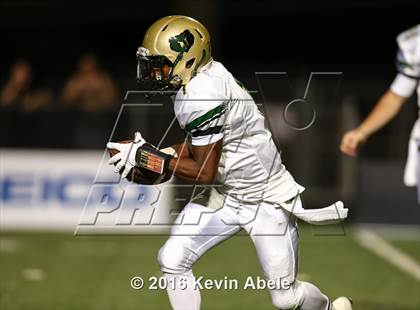 Thumbnail 2 in Basha @ Pinnacle photogallery.