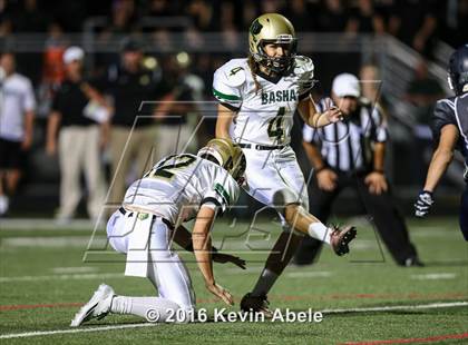 Thumbnail 3 in Basha @ Pinnacle photogallery.