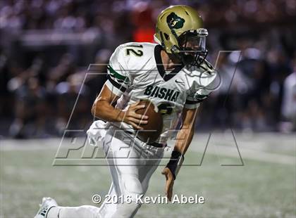 Thumbnail 3 in Basha @ Pinnacle photogallery.