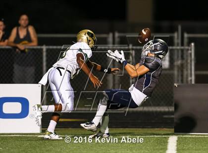 Thumbnail 2 in Basha @ Pinnacle photogallery.
