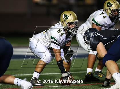 Thumbnail 3 in Basha @ Pinnacle photogallery.