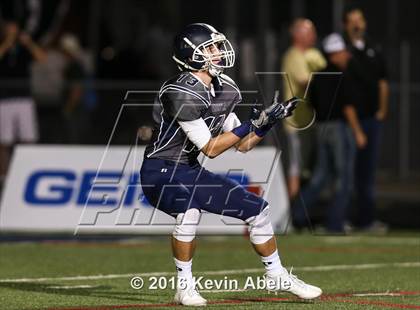 Thumbnail 2 in Basha @ Pinnacle photogallery.