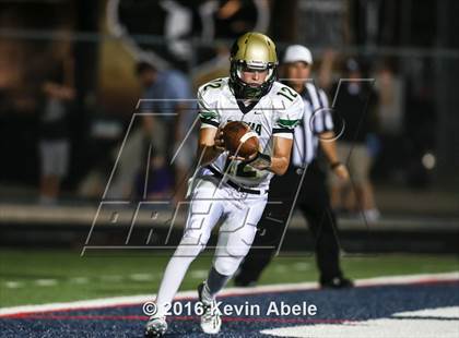 Thumbnail 1 in Basha @ Pinnacle photogallery.