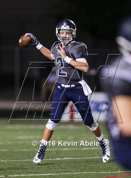 Thumbnail 1 in Basha @ Pinnacle photogallery.