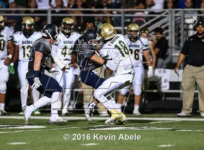 Thumbnail 3 in Basha @ Pinnacle photogallery.