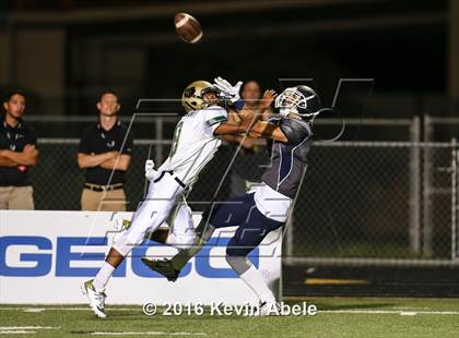 Thumbnail 2 in Basha @ Pinnacle photogallery.