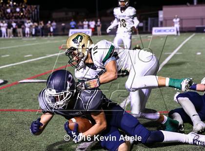 Thumbnail 1 in Basha @ Pinnacle photogallery.