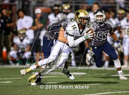 Thumbnail 2 in Basha @ Pinnacle photogallery.