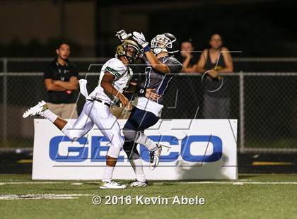 Thumbnail 3 in Basha @ Pinnacle photogallery.