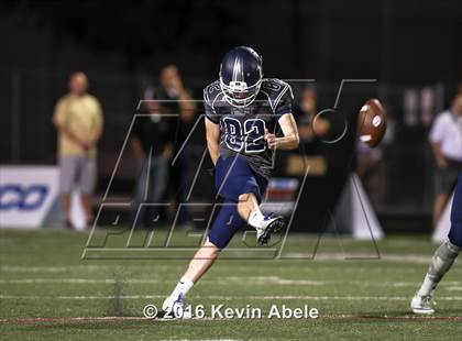 Thumbnail 3 in Basha @ Pinnacle photogallery.
