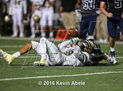 Thumbnail 1 in Basha @ Pinnacle photogallery.