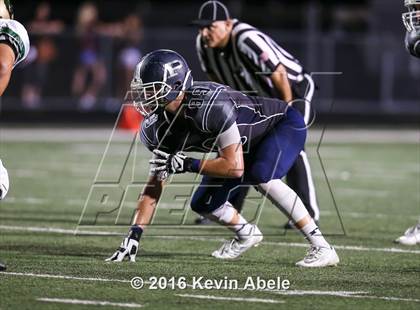 Thumbnail 3 in Basha @ Pinnacle photogallery.