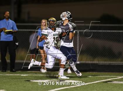 Thumbnail 1 in Basha @ Pinnacle photogallery.