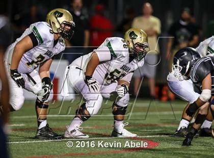 Thumbnail 3 in Basha @ Pinnacle photogallery.
