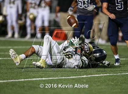Thumbnail 2 in Basha @ Pinnacle photogallery.